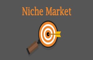 نیچ پولساز یعنی چه