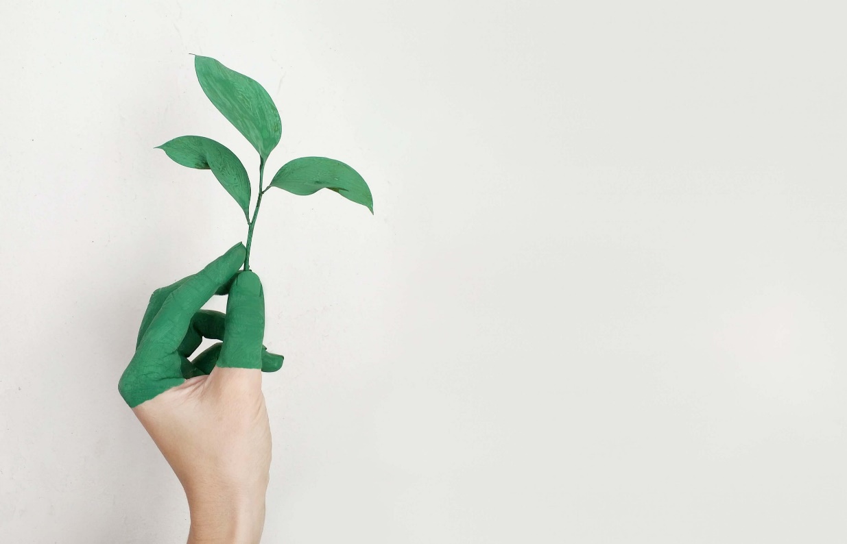 اجرای قانون در محیط کاری اجرای قانون در محیط کاری